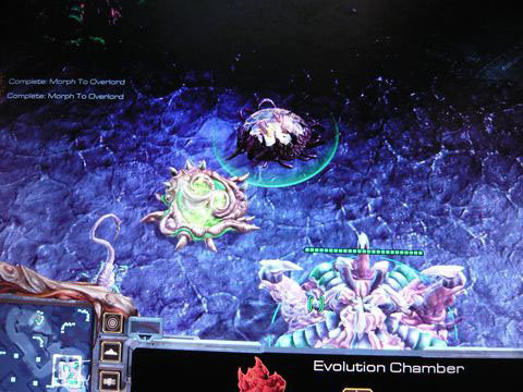 Ecran Zerg SC2 WWI 2008